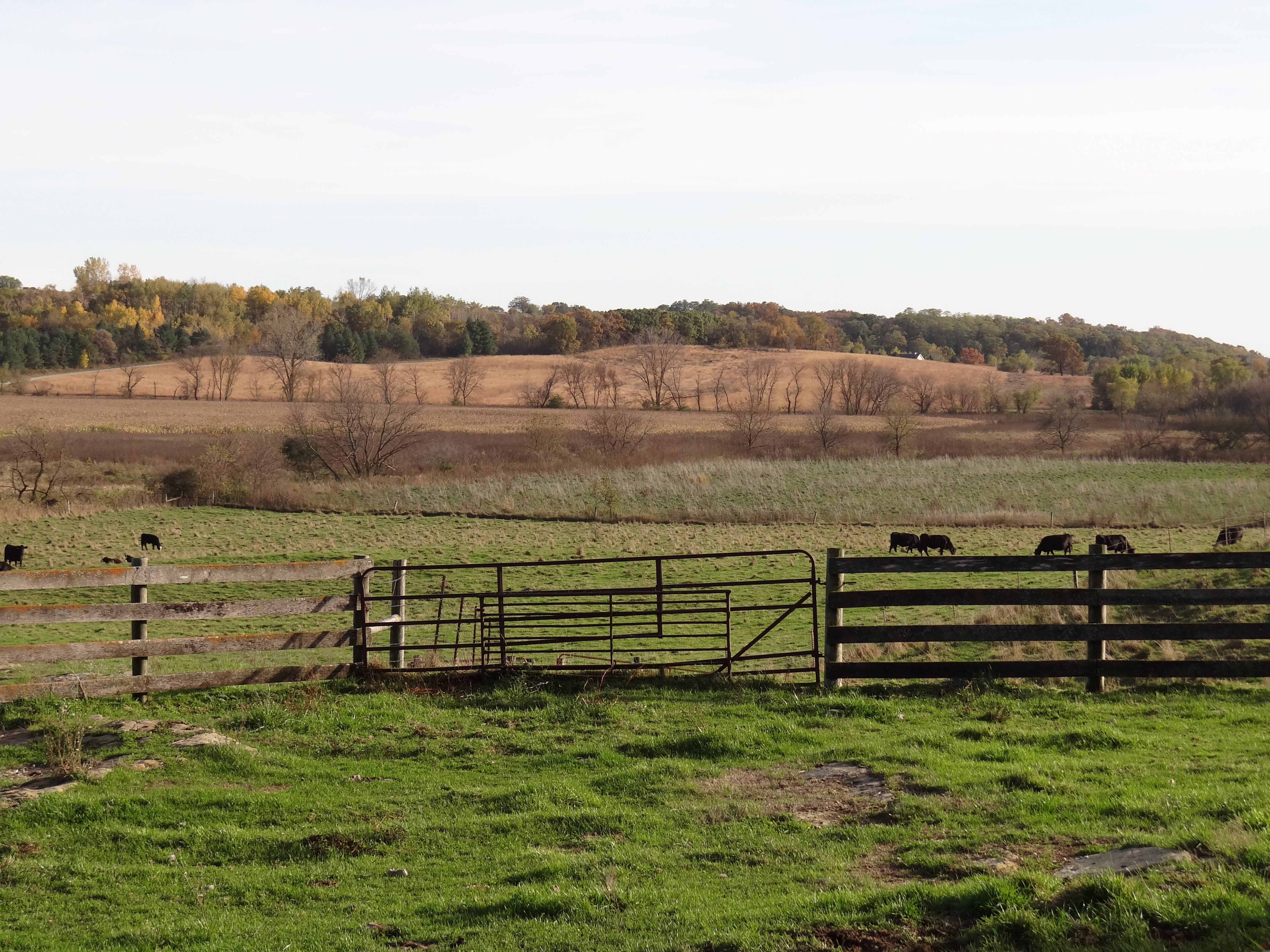 Farmette For Sale- New Glarus, WI | Pifer's