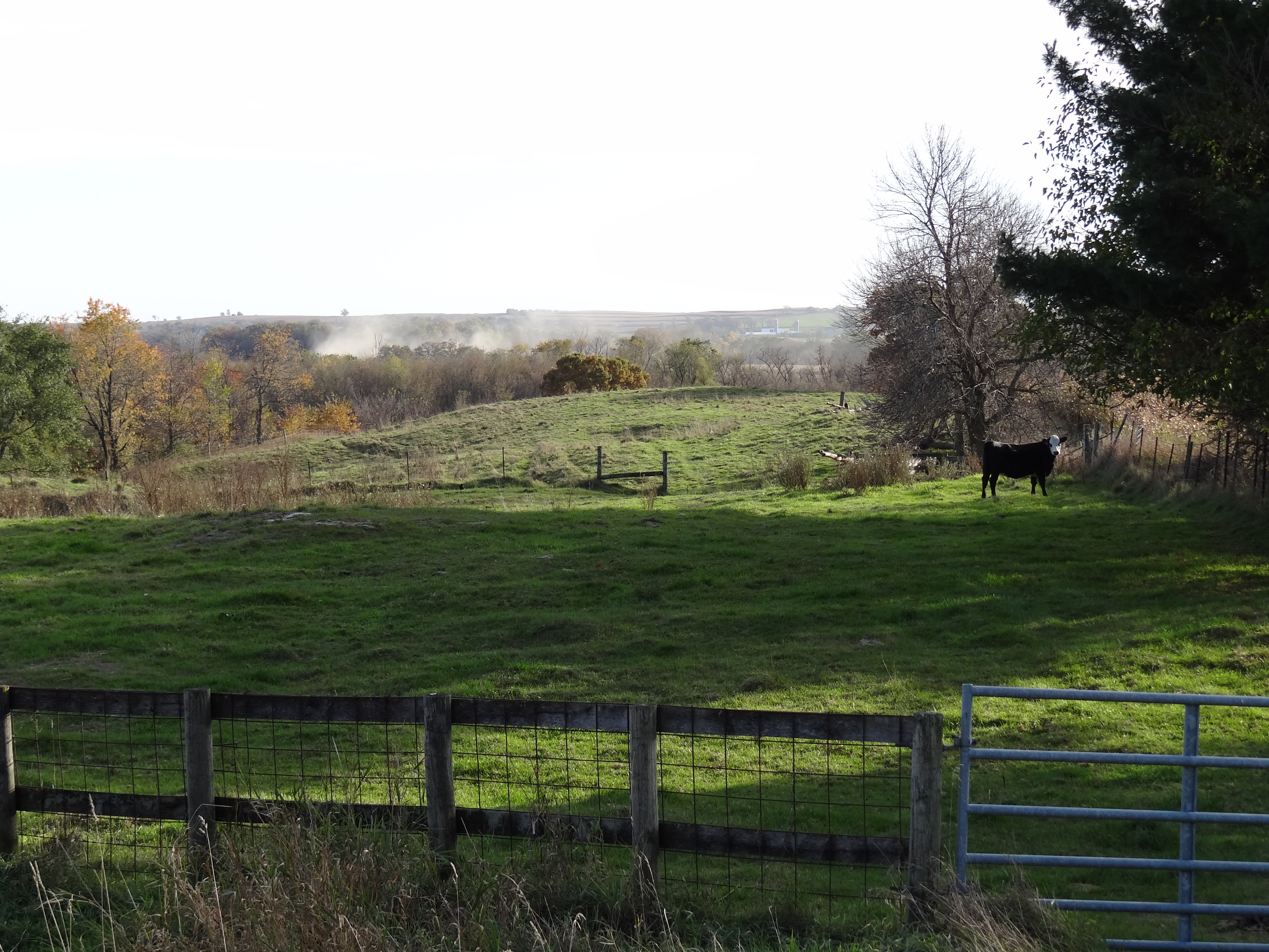 Farmette For Sale- New Glarus, Wi 