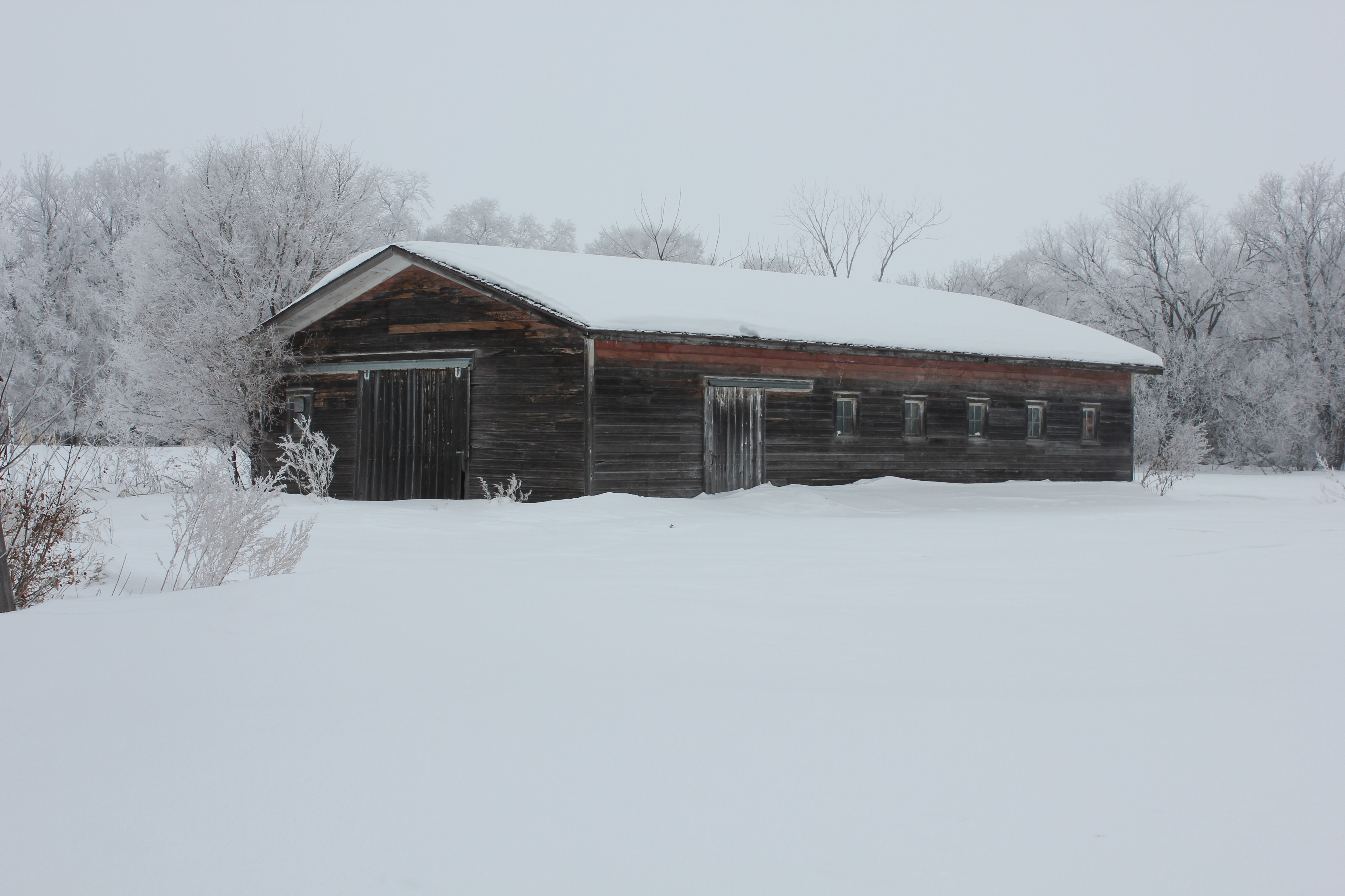 Farmstead For Sale Buffalo ND Pifer's