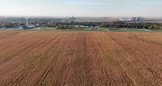 The Two Things That Explain Most Land Values