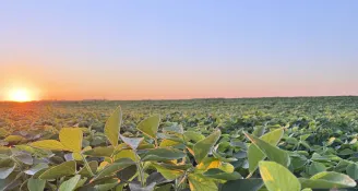 Why in the World Would I Invest in Farmland Right Now?